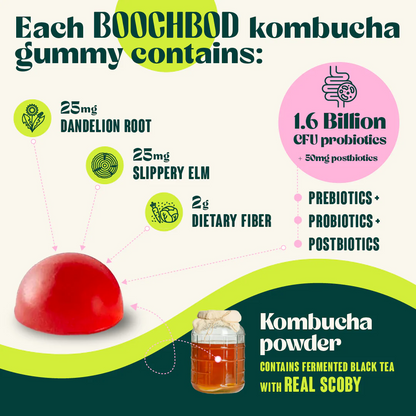 BoochBod Probiotic Kombucha Gummies
